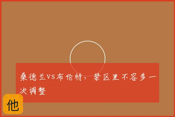 桑德兰vs布伦特，禁区里不容多一次调整