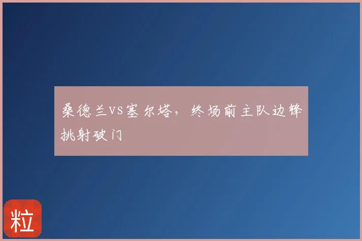 桑德兰vs塞尔塔,终场前主队边锋挑射破门